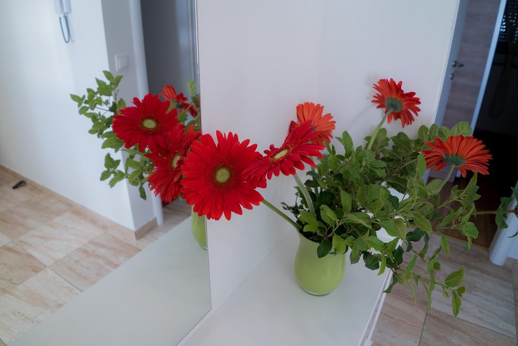 Apartmani Ruzica 马卡尔斯卡 外观 照片